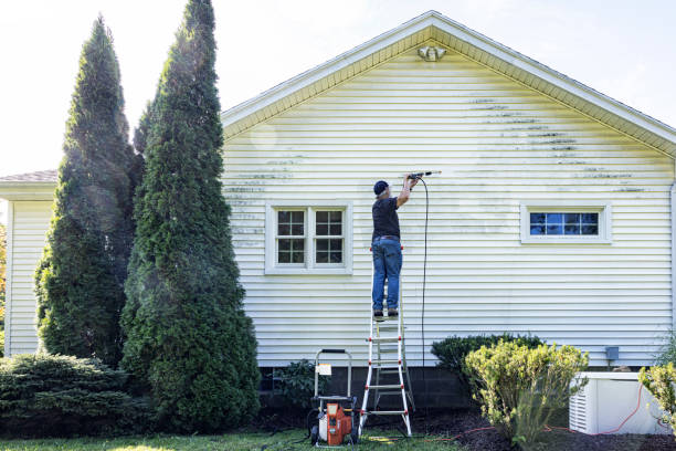 Best Exterior Home Cleaning  in Laurel Hill, NC